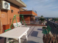 /album/galleria-foto-colle-del-sole-vigna-girelli-via-ponte-buggianese/15-jpg1/